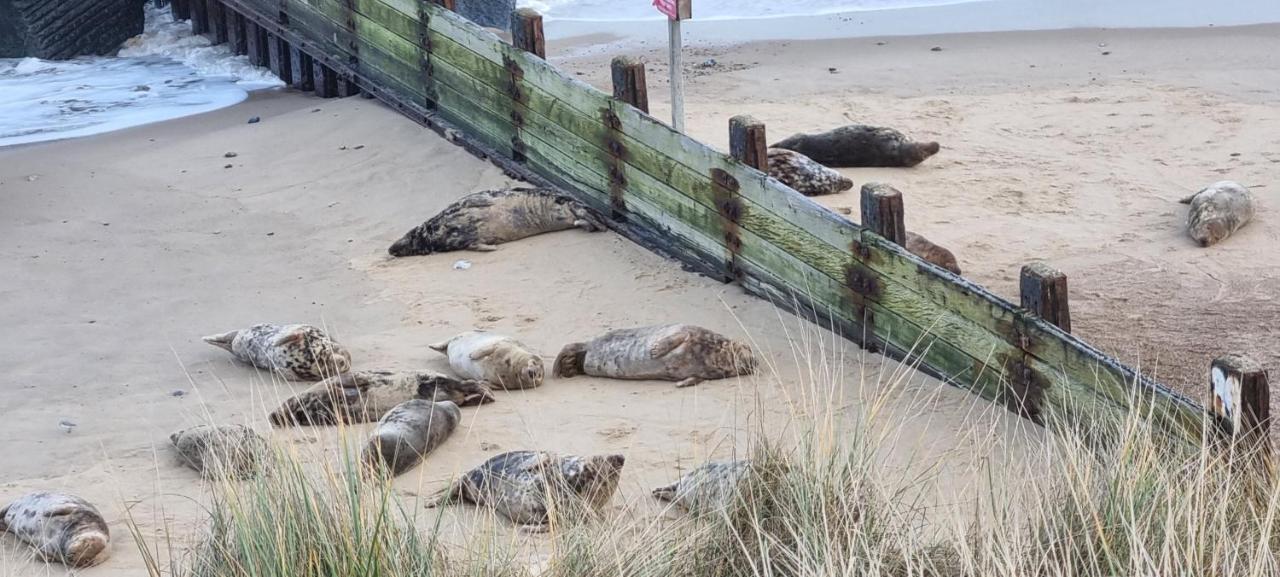 Twin Palms Guesthouse Great Yarmouth Esterno foto