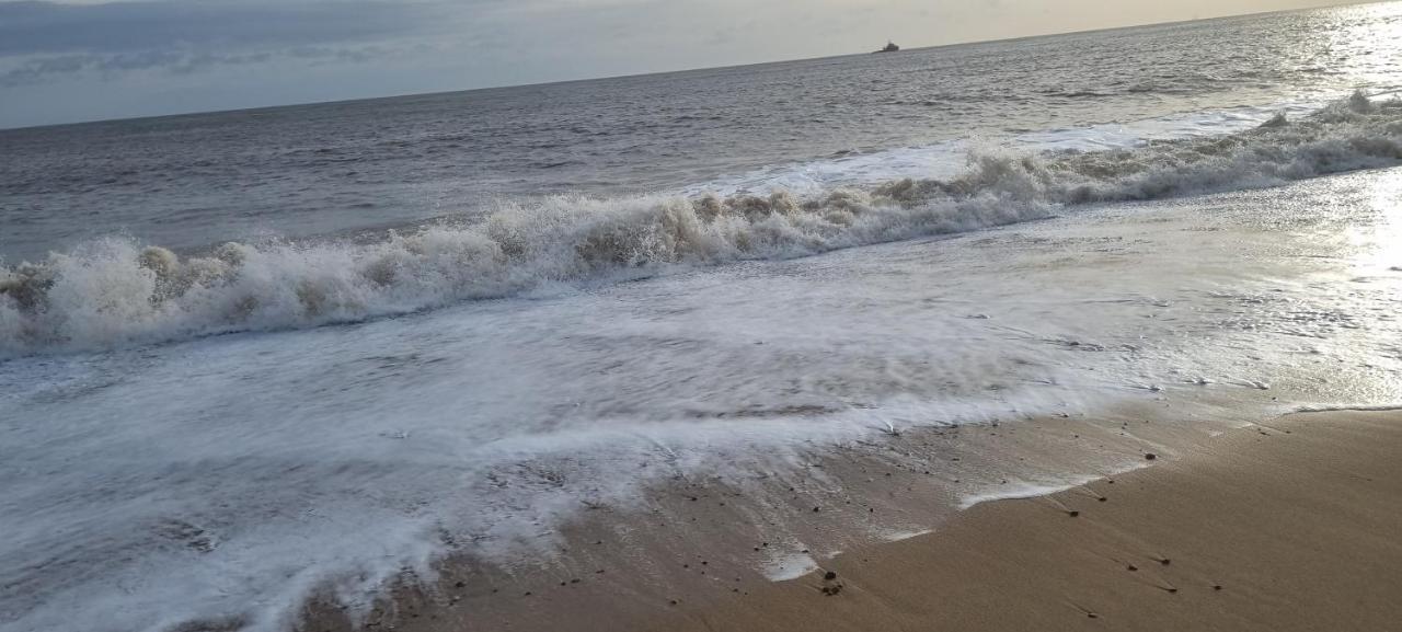 Twin Palms Guesthouse Great Yarmouth Esterno foto