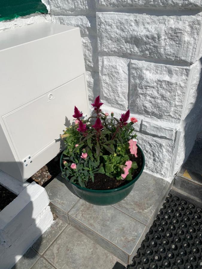 Twin Palms Guesthouse Great Yarmouth Esterno foto